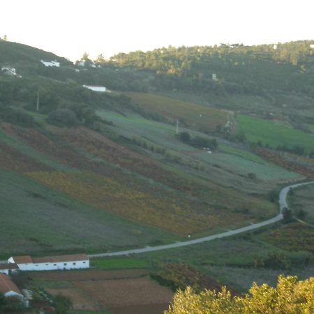 1/4 Na Serra Rio Maior Εξωτερικό φωτογραφία